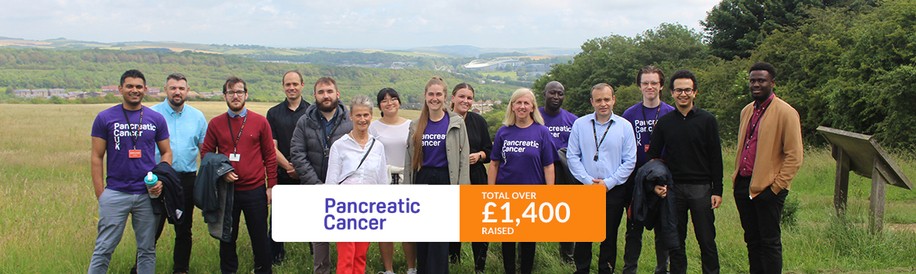 pancreatic-cancer-total-money-raised.jpg